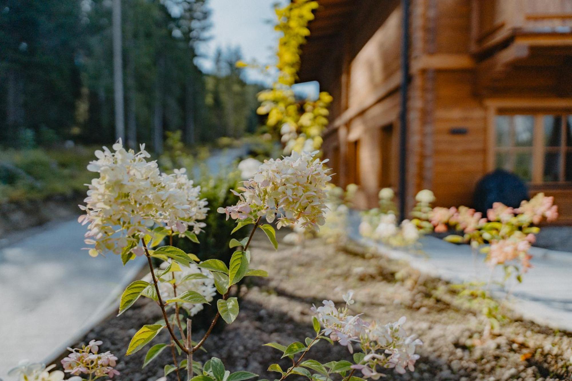 Sissi'S Green Chalets 로이타쉬 외부 사진