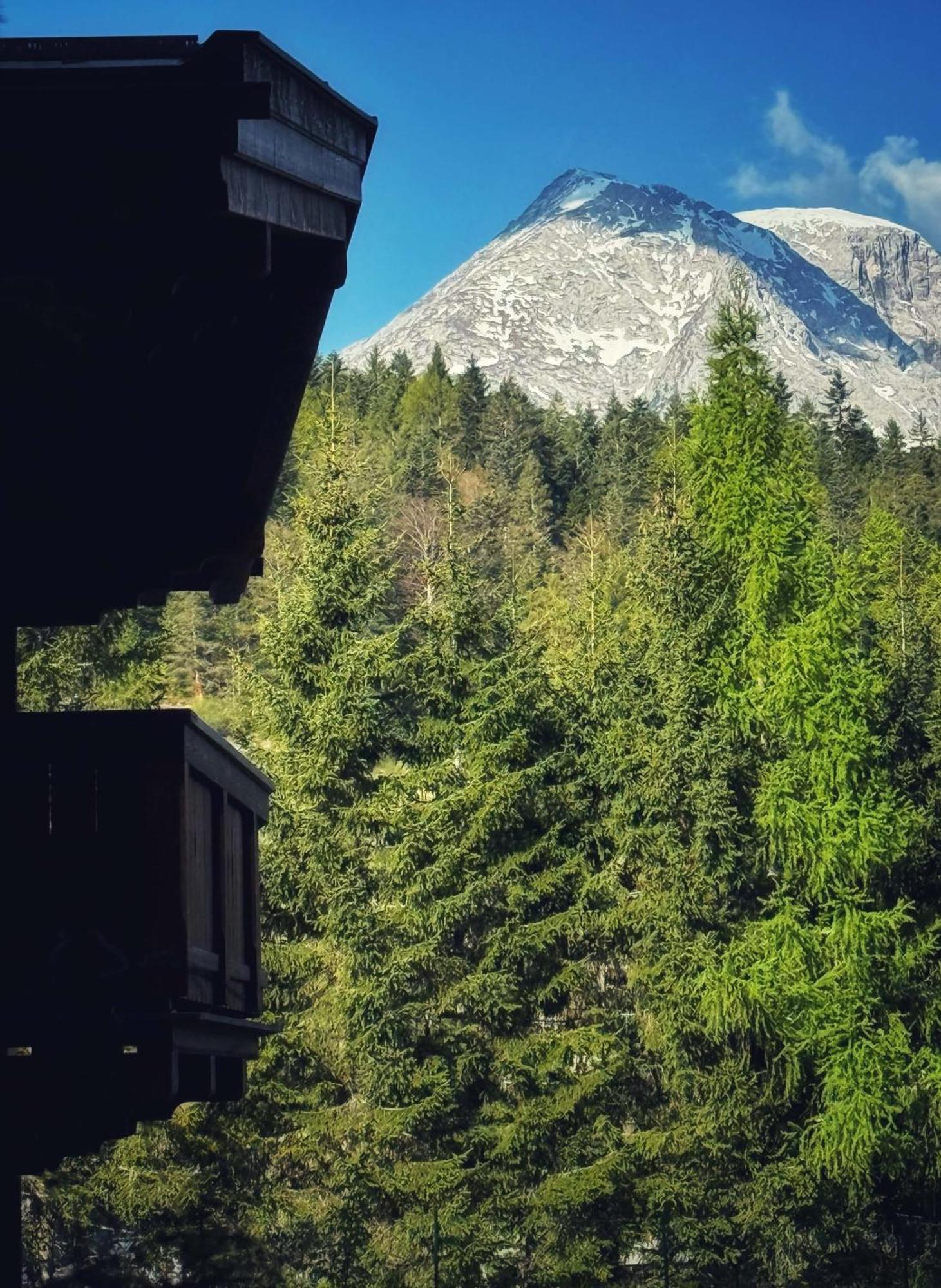 Sissi'S Green Chalets 로이타쉬 외부 사진